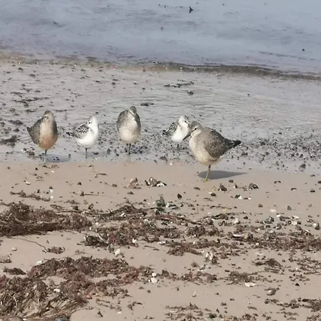 Semesterbostad 4 Person In Hjorring-by Traum