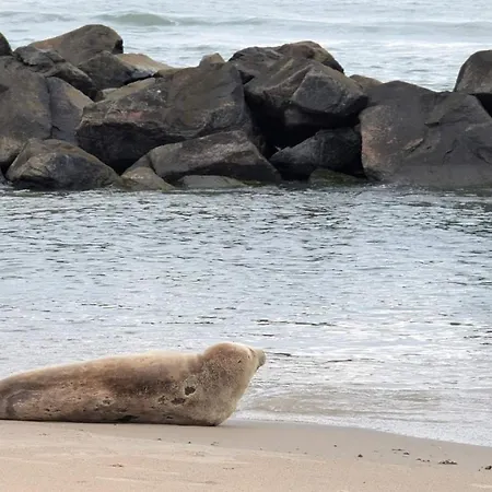 4 Person In Hjorring-by Traum Semesterbostad *